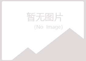 绵阳涪城白山会计有限公司